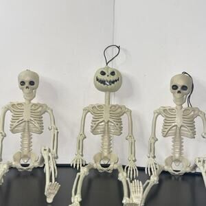 Halloween Skeletons Set of 3 skeletons